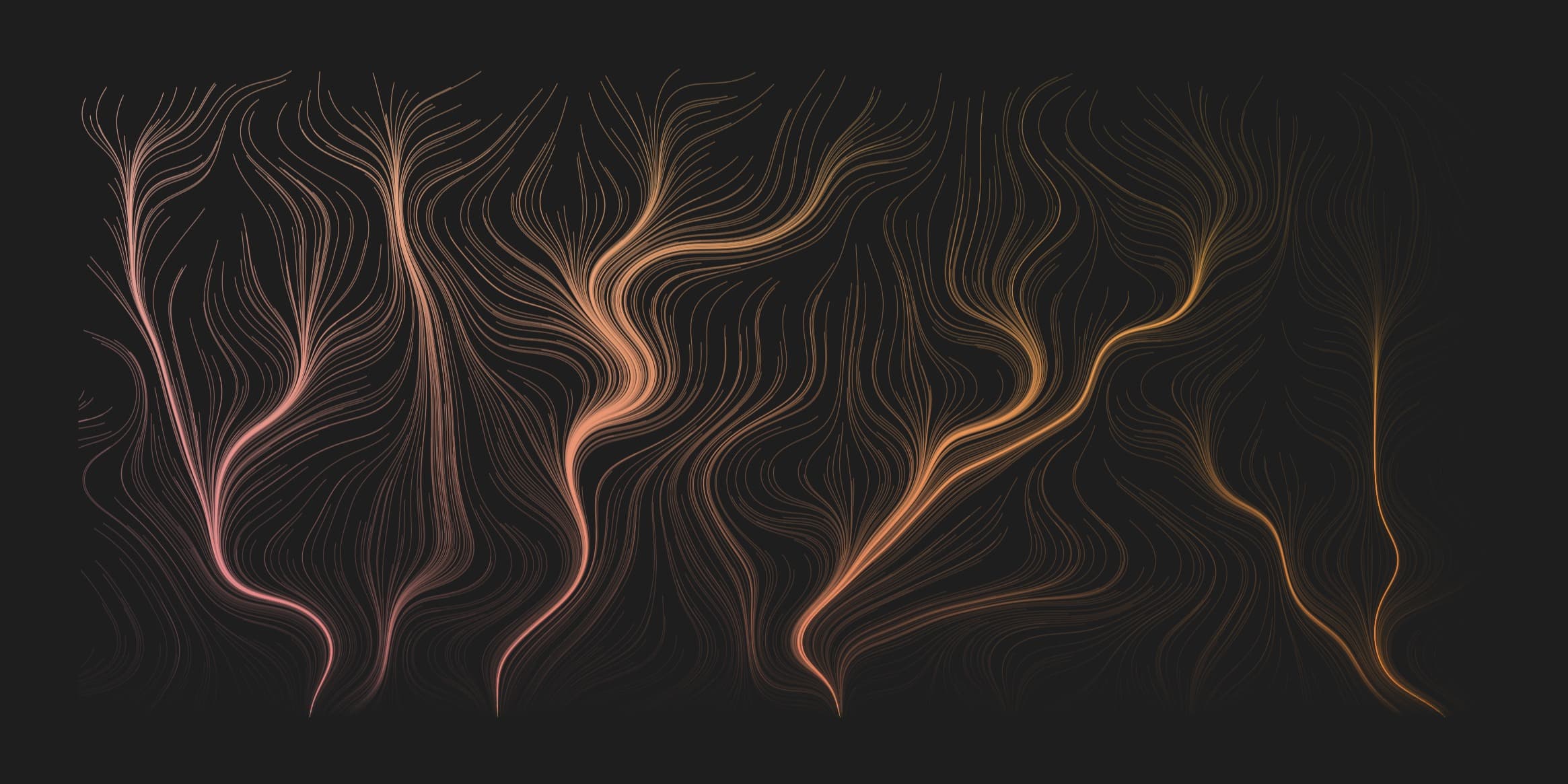 Discover card cover image